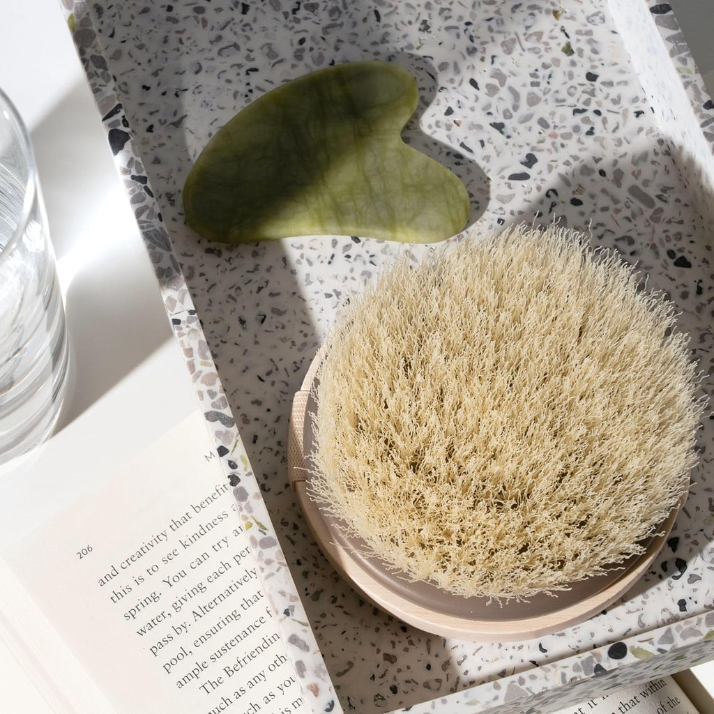 Dry Body Brush for Dry Brushing, Smooth Skin, 1 Count