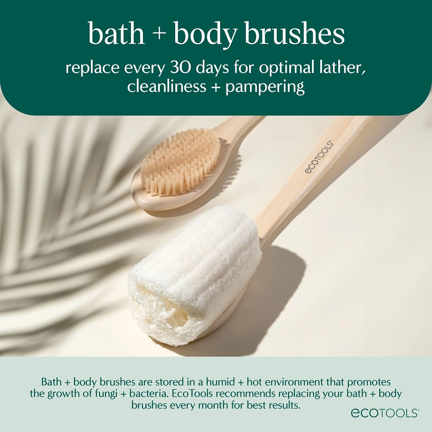 Dry Body Brush for Dry Brushing, Smooth Skin, 1 Count